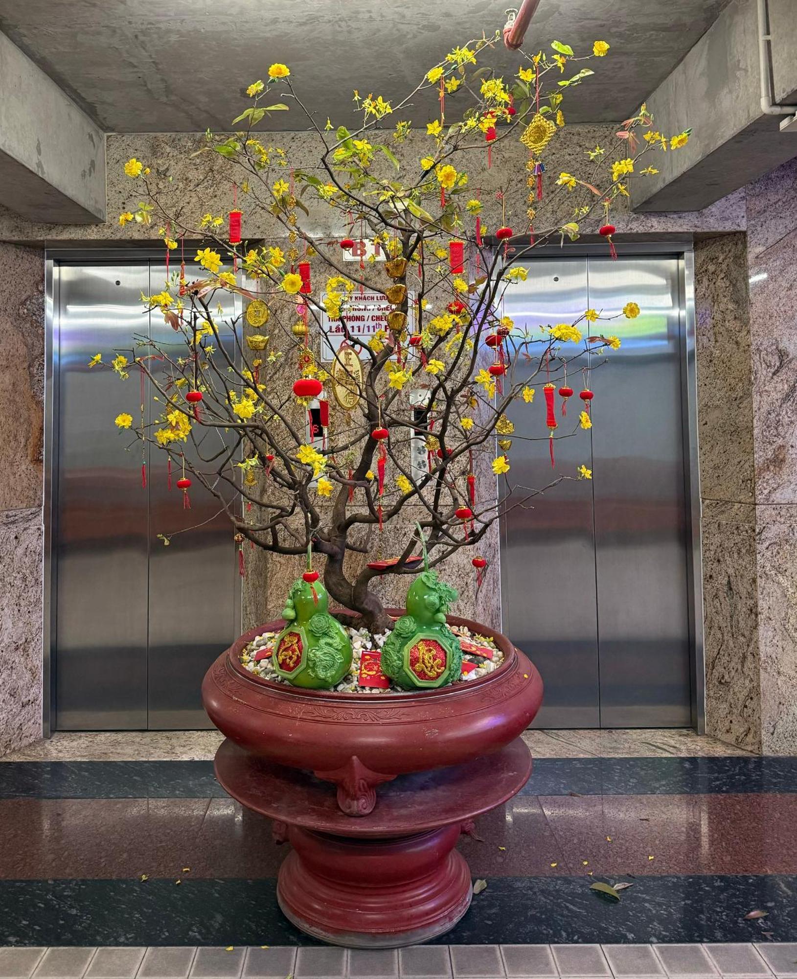 Thien Tai Hotel Хошимин Екстериор снимка
